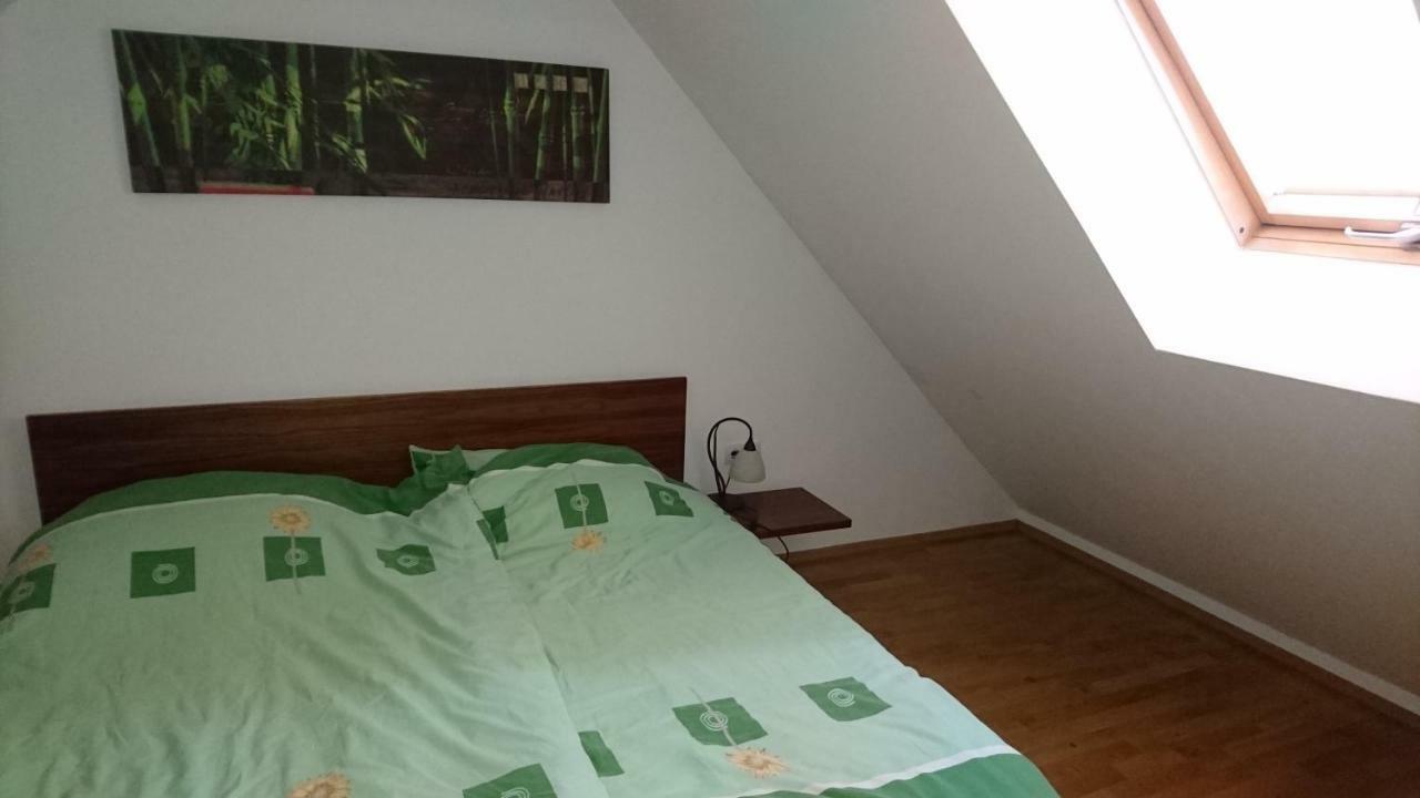 Apartma Geoteh Terme Catez 6032 Villa Krško Exteriör bild